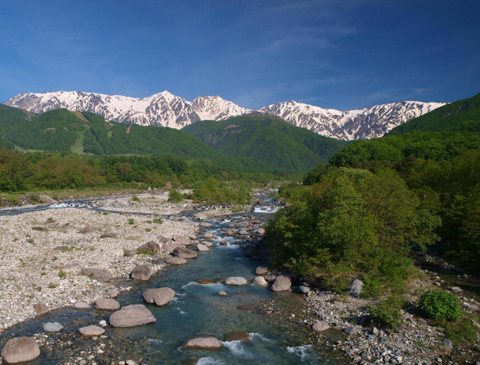 Hakuba Mominoki Hotel Екстериор снимка